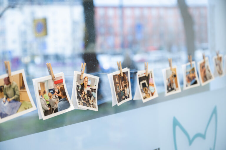 Atooppinen dermatiitti koiralla ja kissalla