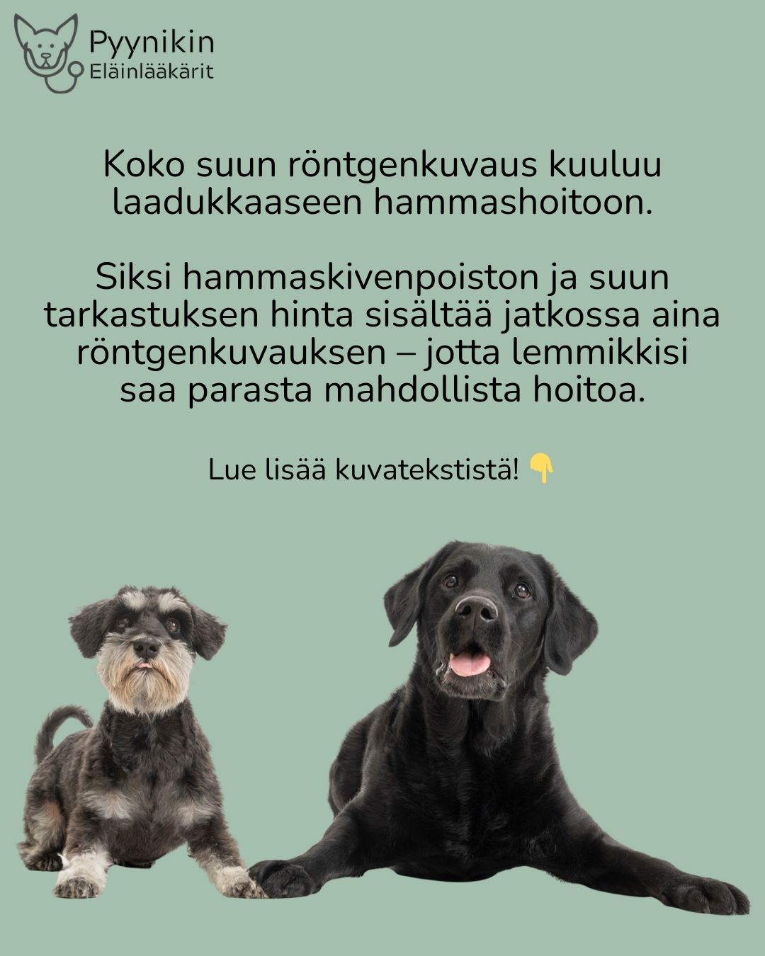 Hammaskivenpoiston hinta sisältää nyt myös koko suun röntgenkuvauksen