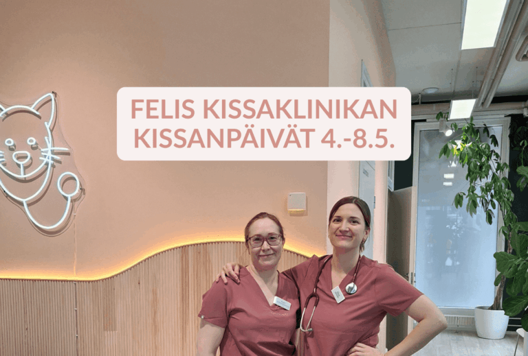 OHJELMA JA AIKATAULU
