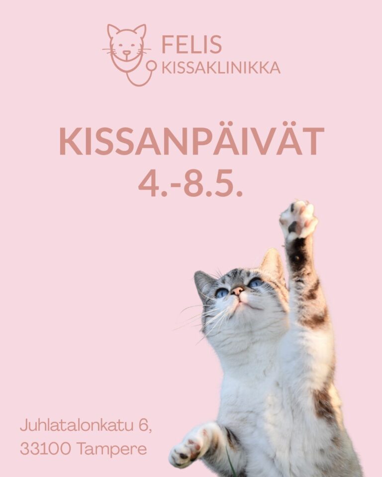 Felis KISSAKLINIKAN KISSANPÄIVÄT 4.-8.5.2026