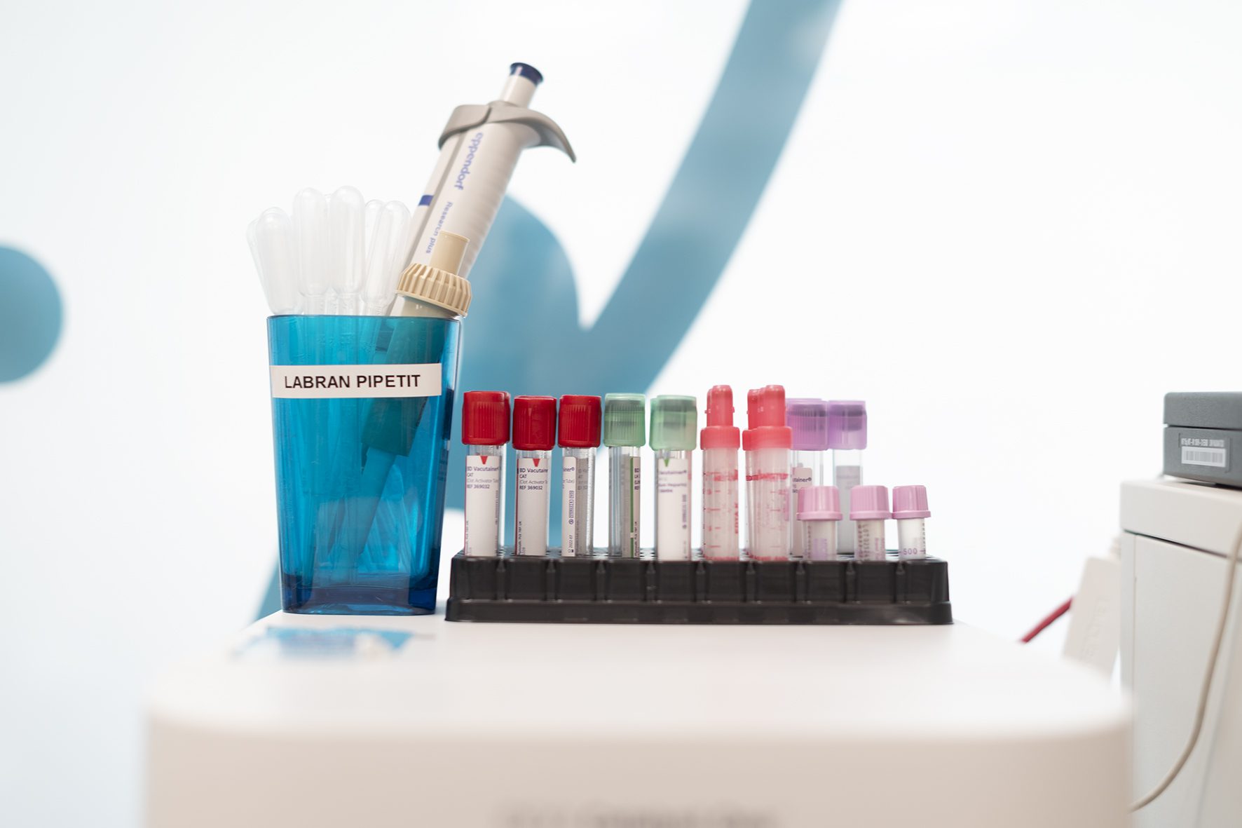 Virtsakivien hoito koirilla ja kissoilla