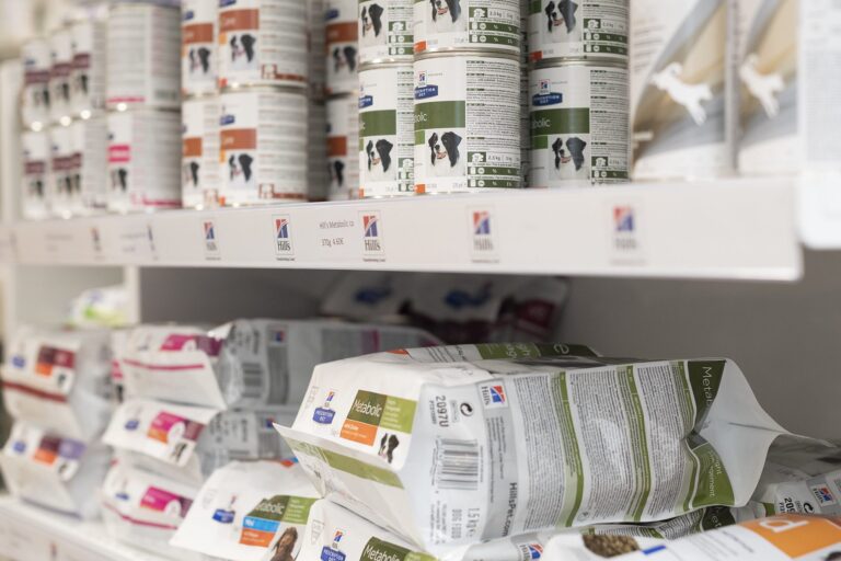 Mitä tehdä kun kissa kieltäytyy syömästä hypoallergeenista ruokaa?