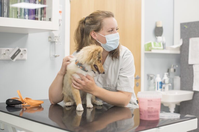 Vastuullinen pennun hankkiminen