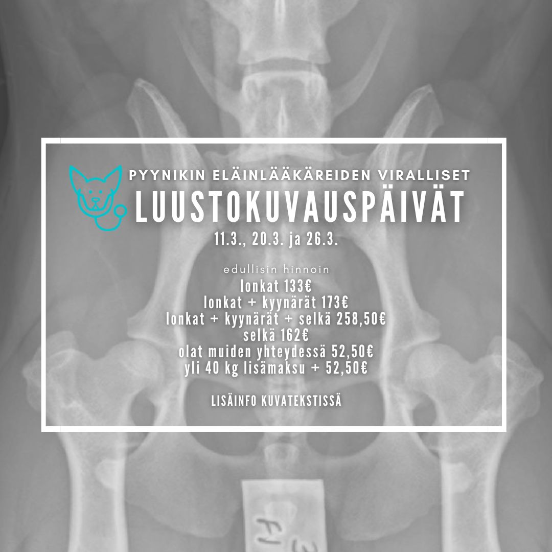 Luustokuvauspäivät keväällä 2025