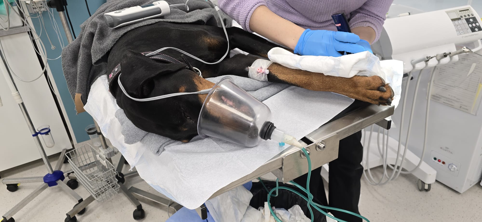 Valmistautuminen leikkauksiin ja nukutustoimenpiteisiin