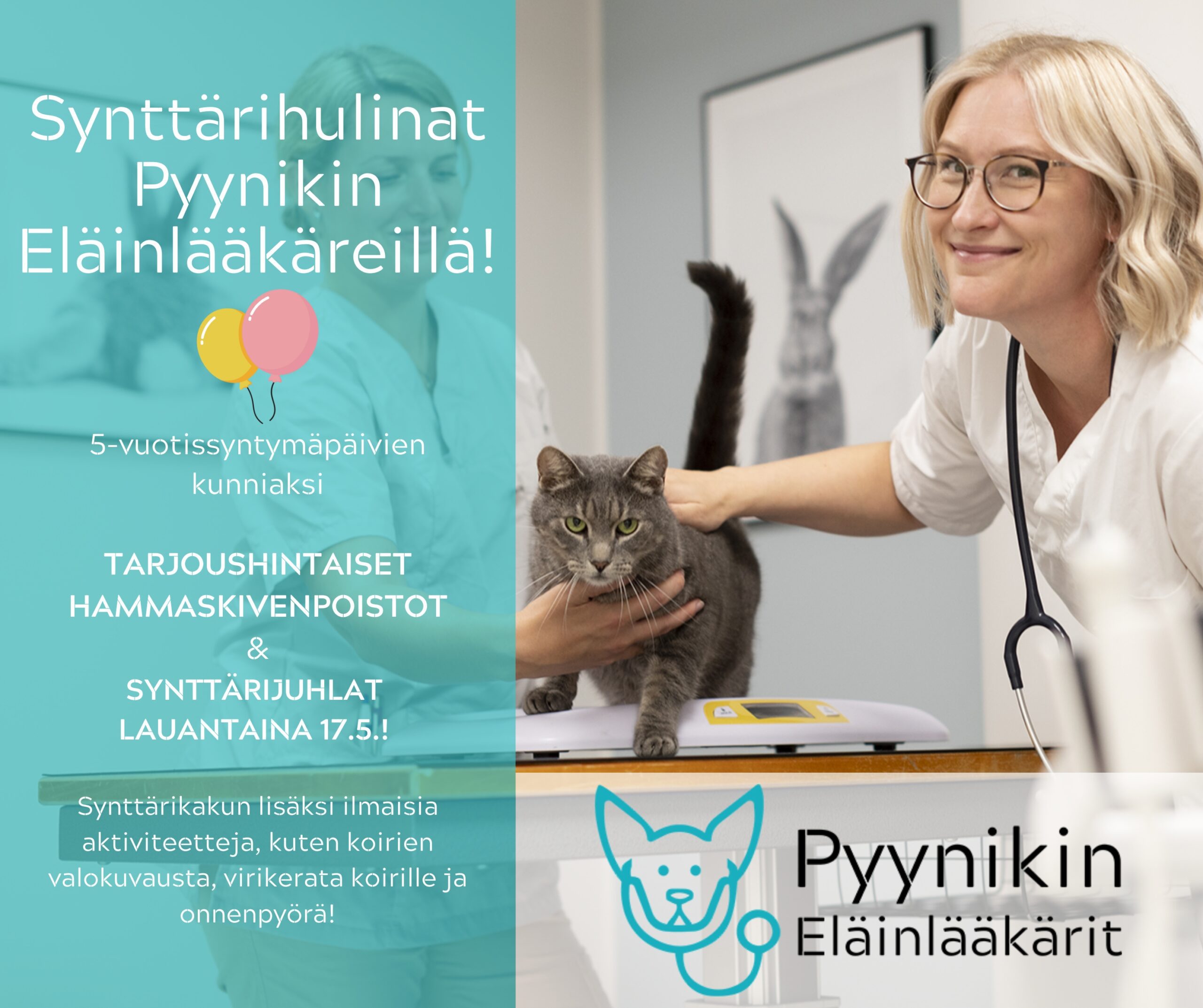 Synttäriviikon tarjous – Hammasklubi